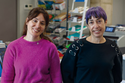 ‘Euskarari zabalik’. Ayuntamientos, comercios y ciudadanía, unidos por el euskera