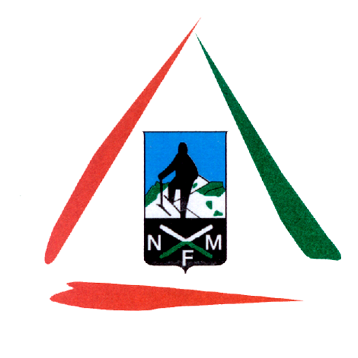 fnm fnm